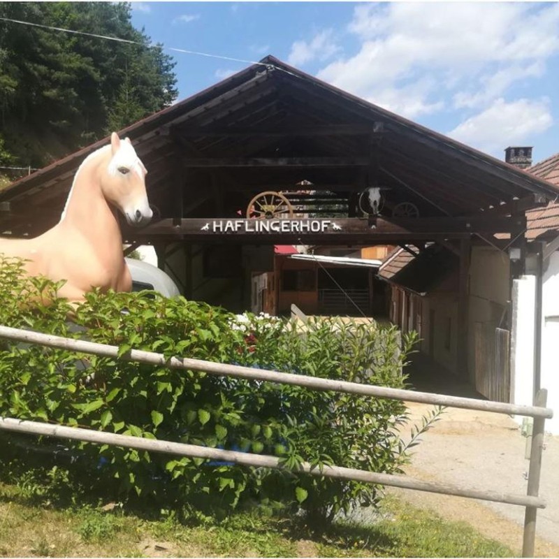 Ferielejlighed - 4 personer -  - Leitenviertel - 2853 - Bad Schönau