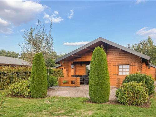 Sommerhus - 6 personer -  - Elfde Wijk 42C - - 7797 HH - Rheezerveen