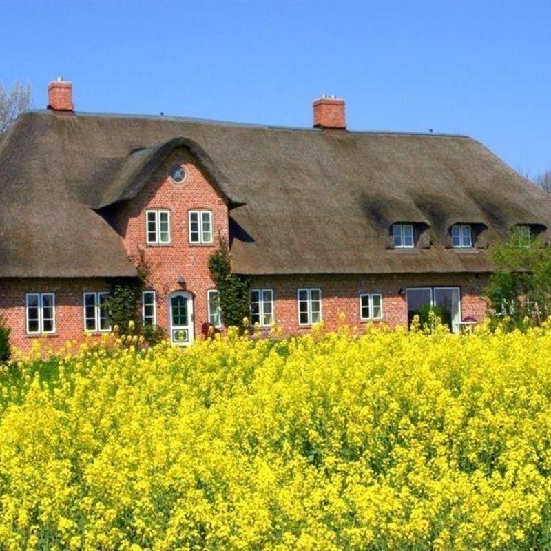 Ferielejlighed - 4 personer -  - Alter Gardinger Deich - 25836 - Kirchspiel-Garding