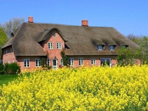 Ferielejlighed - 4 personer -  - Alter Gardinger Deich - 25836 - Kirchspiel-Garding