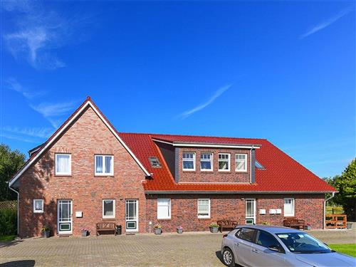 Bondegård - 7 personer -  - Wolder Weg - 26427 - Esens