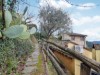 Billede 24