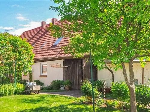 Fritidshus - 4 personer -  - Dorfstraße - 17237 - Grünow