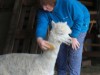 Bild 17