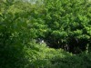 Image 22 - Outside