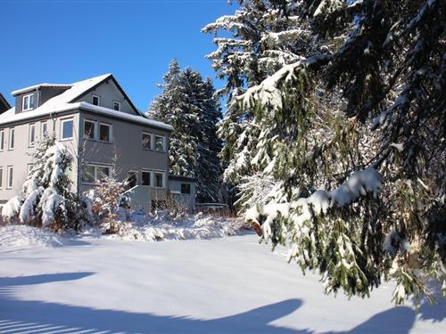 Sommerhus - 20 personer -  - Lautenthaler Straße - 38644 - Goslar/Hahnenklee