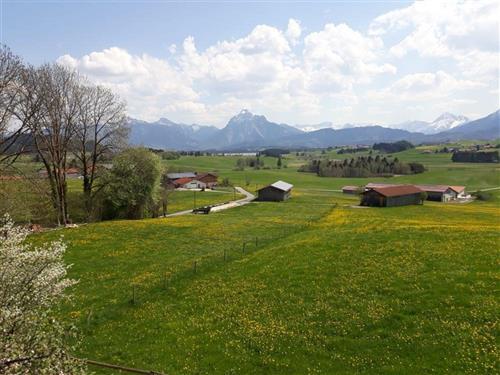 Holiday Home/Apartment - 3 persons -  - Heimen - 87659 - Hopferau