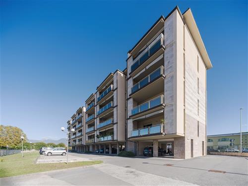 Semesterlägenhet - 6 personer -  - Viareggio - 55049