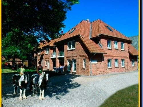 Ferieleilighet - 5 personer -  - Presen - 23769 - Fehmarn Ot Presen
