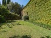 Bild 36