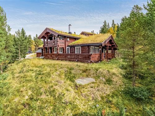 Sommerhus - 9 personer -  - Tostinvegen - Folldal - 2584 - Dalholen