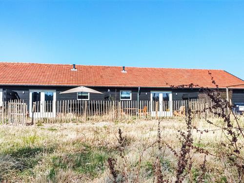 Holiday Home/Apartment - 4 persons -  - Belgenhoek - 5985 NJ - Grashoek