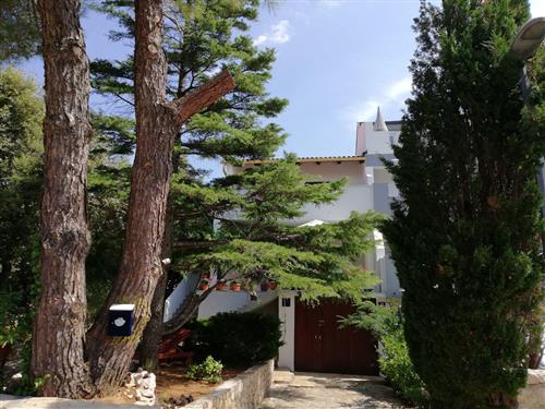 Holiday apartment - 5 persons -  - Primorska 13, Mandre - 23251 - Kolan