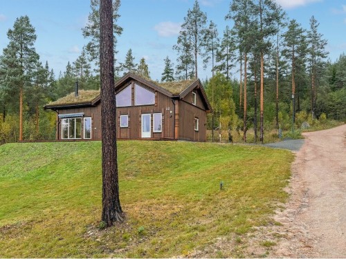 Holiday home - 6 persons -  - Furuheimvegen - 3853 - Vrådal