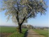 Bild 27