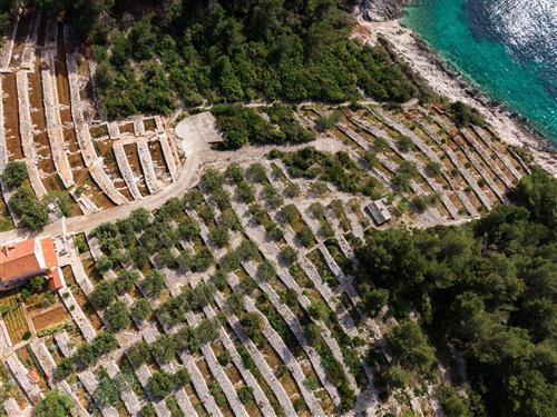 Sommerhus - 9 personer -  - Žukova - 20270 - Vela Luka