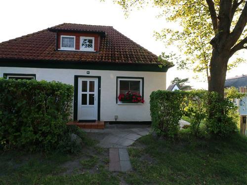 Ferielejlighed - 2 personer -  - Süderende - 18565 - Vitte/Insel Hiddensee