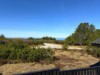 Billede 1