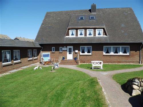 Sommerhus - 3 personer -  - Steintal - 25997 - Hörnum Auf Sylt