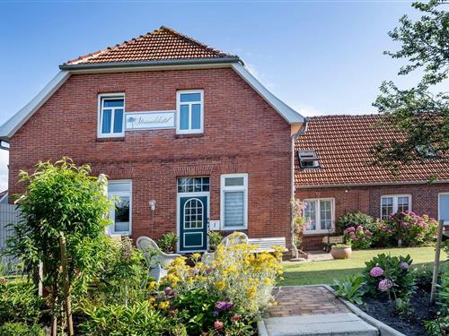 Ferienwohnung - 5 Personen -  - Otto-Leuss-Weg - 26465 - Langeoog