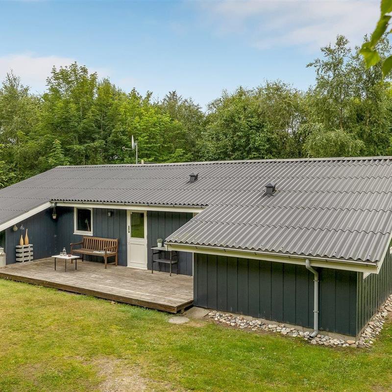 Ferienhaus - 5 Personen -  - Brunbjergvej - Söndervig - 6950 - Ringköbing