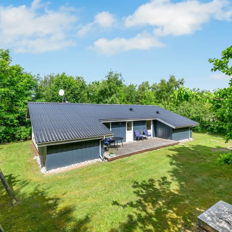 Ferienhaus - 5 Personen -  - Brunbjergvej - Söndervig - 6950 - Ringköbing