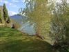 Bilde 5