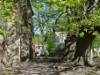 Bild 10