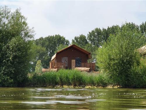 Glamping telt - 5 personer -  - 1601DC - Enkhuizen