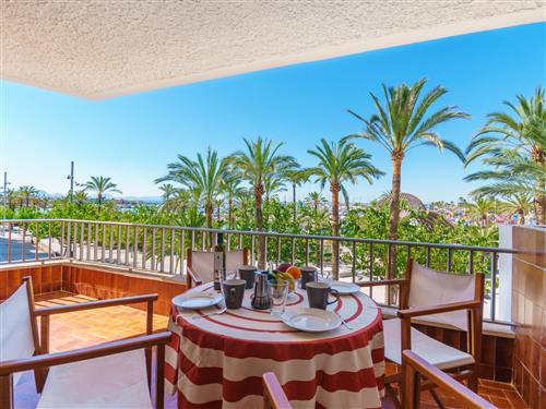 Feriehus / leilighet - 4 personer -  - Port D'alcúdia - 07400