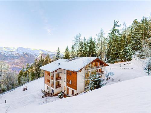 Holiday home - 66 persons -  - Route des Zeffeugues - 1993 - Veysonnaz