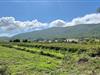 Billede 53