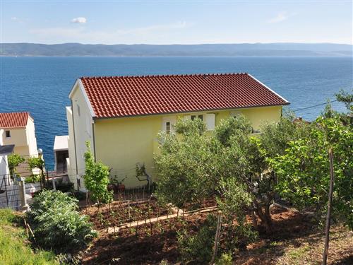 Ferielejlighed - 5 personer -  - Zapadna ulica 50, Pisak - 21318 - Mimice