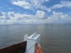 Billede 21