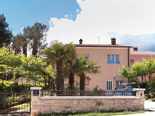 Ferielejlighed - 5 personer -  - Dragonja - Fazana-Valbandon - 52212 - Fazana