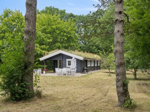 Feriehus - 5 personer -  - Hulerødvej - 3120 - Dronningmølle