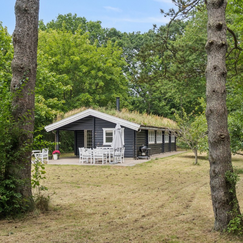 Ferienhaus - 5 Personen -  - Hulerødvej - 3120 - Dronningmölle