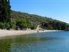 Bilde 28