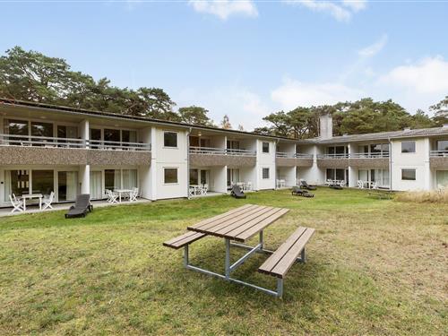 Holiday apartment - 4 persons -  - Sirenevej 2, - Dueodde - 3730 - Nexø