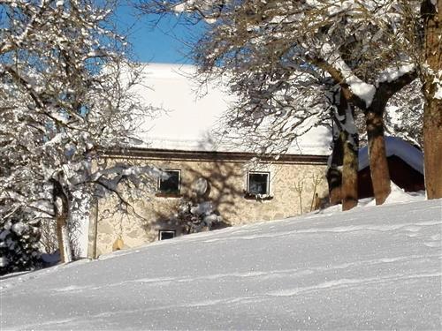 Holiday home - 6 persons -  - Schalchgraben - 4572 - St. Pankraz