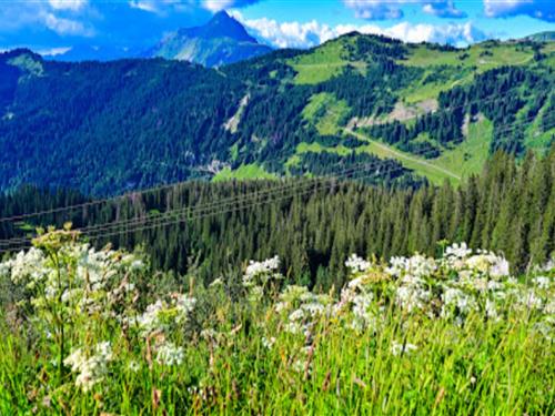 Semesterlägenhet - 5 personer -  - 74110 - Avoriaz