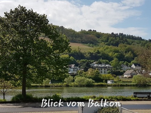 Holiday home - 2 persons -  - 56856 - Zell-Mosel