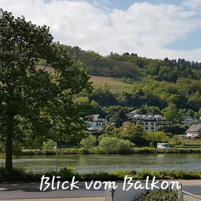 Sommerhus - 2 personer -  - 56856 - Zell-Mosel