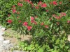 Image 32 - Outside