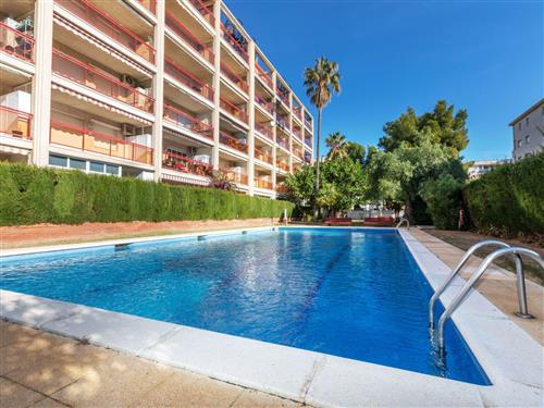 Ferienhaus - 4 Personen -  - Miami Platja - 43892