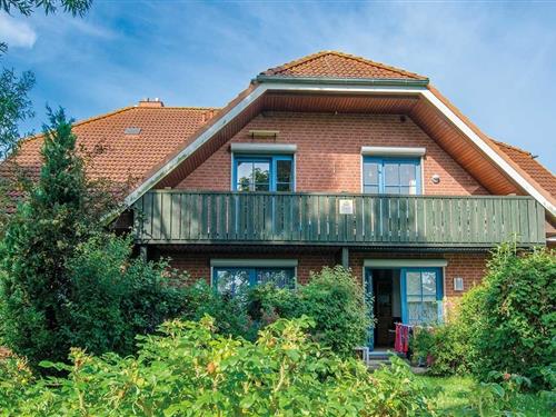 Holiday Home/Apartment - 4 persons -  - An der Aue - 23747 - Dahme