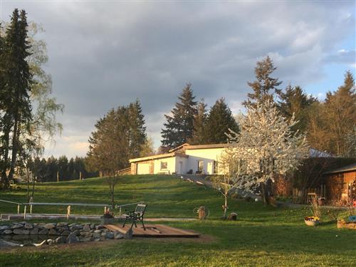 Ferielejlighed - 3 personer -  - Birkenweg - 54552 - Ellscheid