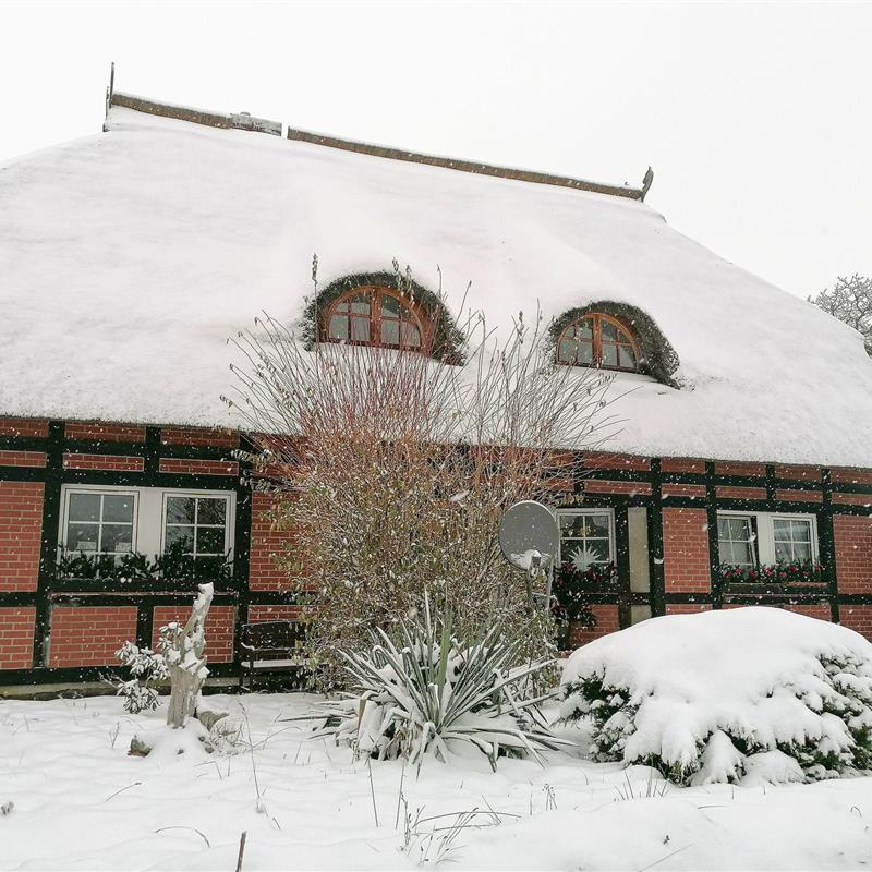 Ferielejlighed - 6 personer -  - Haus Lübeck - 17217 - Alt Rehse