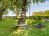 Billede 18 - Grund