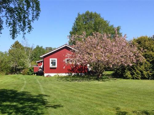 Holiday home - 4 persons -  - Olsnäsvägen - Tjörn - 471 98 - Fagerfjäll